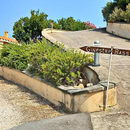 Sun Lovers Is Molas * Pula