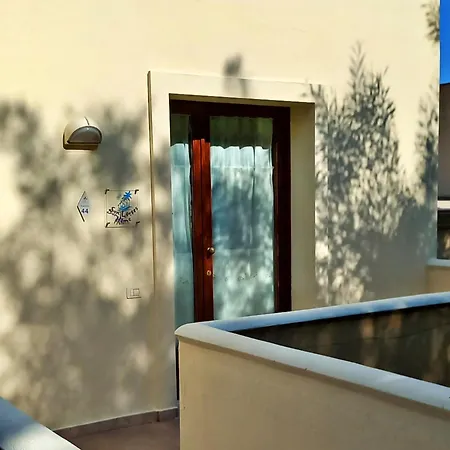 Sun Lovers Is Molas * Pula